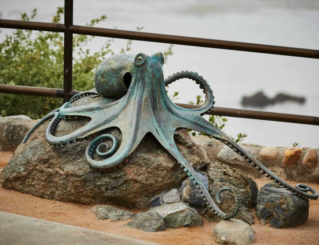 tidal pool octopus by Casey Parlette