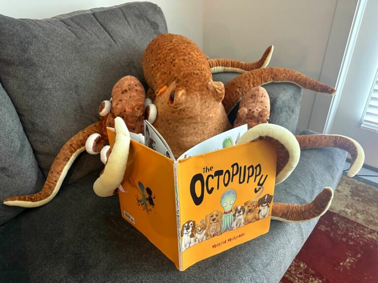 20+ Of The BEST Octopus Books For Kids!