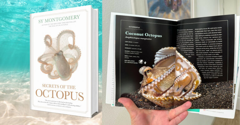 Book Giveaway: “Secrets of the Octopus” & Bonus interview!