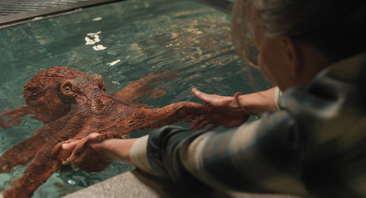 Remarkably Bright Creatures: Netflix's #1 Movie & Marcellus Guide