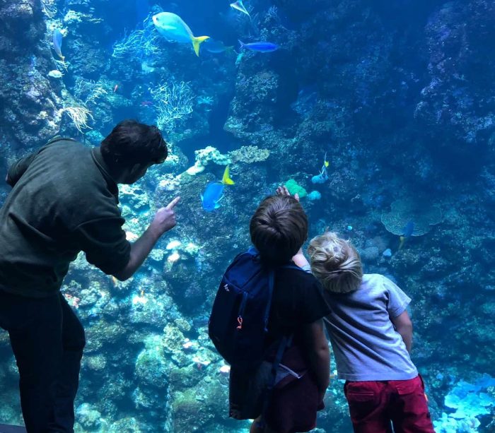 man and young kids observing an aquarium tank